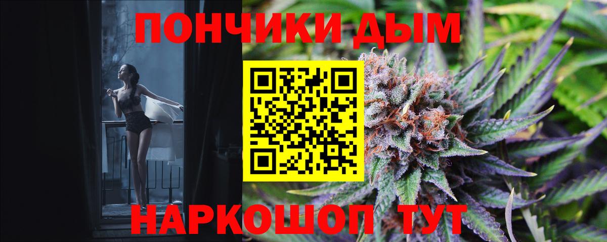 Конопля планчик Калининград